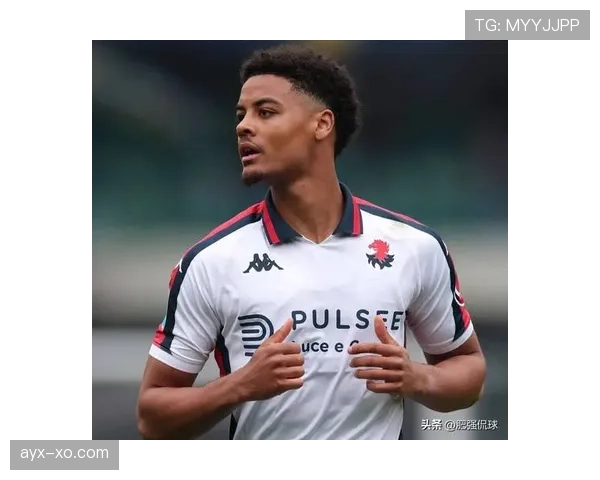 沃尔夫斯堡加速夏窗引援布局,剑指德甲争冠行列 沃尔夫斯堡加速夏窗引援布局,剑指德甲争冠行列