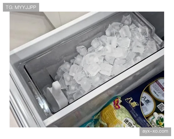 皮斯托瑞斯家的冰箱里，连冰块都是定制的